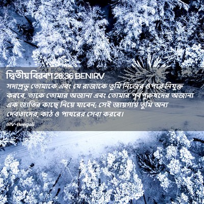 Picture 02 - দ্বিতীয় বিৱৰণ 28:36 BENIRV - সদাপ্রভু তোমাকে - Bible Verse Picture