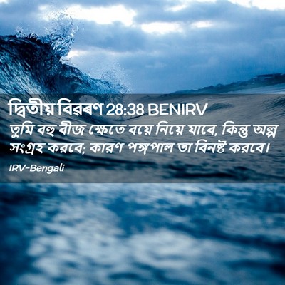 Picture 02 - দ্বিতীয় বিৱৰণ 28:38 BENIRV - তুমি বহু বীজ - Bible Verse Picture