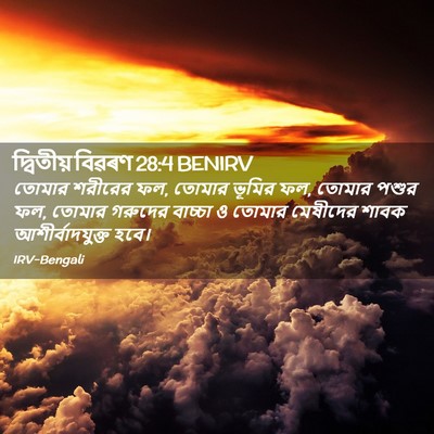 Picture 02 - দ্বিতীয় বিৱৰণ 28:4 BENIRV - তোমার শরীরের ফল, - Bible Verse Picture