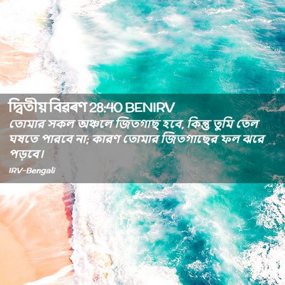 Picture 02 - দ্বিতীয় বিৱৰণ 28:40 BENIRV - তোমার সকল অঞ্চলে - Bible Verse Picture