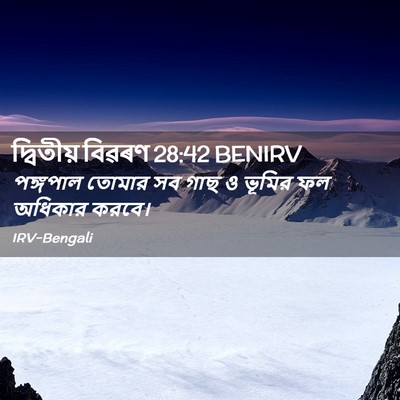 Picture 02 - দ্বিতীয় বিৱৰণ 28:42 BENIRV - পঙ্গপাল তোমার সব - Bible Verse Picture
