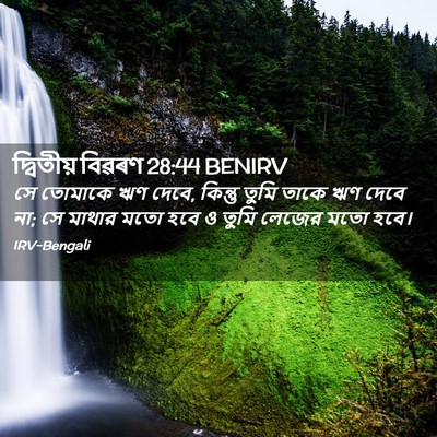 Picture 02 - দ্বিতীয় বিৱৰণ 28:44 BENIRV - সে তোমাকে ঋণ দেবে, - Bible Verse Picture