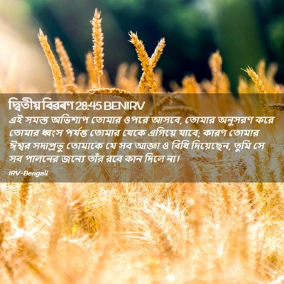 Picture 02 - দ্বিতীয় বিৱৰণ 28:45 BENIRV - এই সমস্ত অভিশাপ - Bible Verse Picture