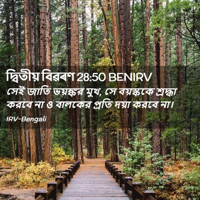 Picture 02 - দ্বিতীয় বিৱৰণ 28:50 BENIRV - সেই জাতি ভয়ঙ্কর - Bible Verse Picture