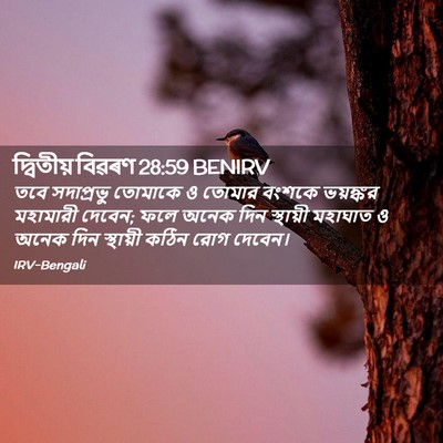 Picture 02 - দ্বিতীয় বিৱৰণ 28:59 BENIRV - তবে সদাপ্রভু - Bible Verse Picture