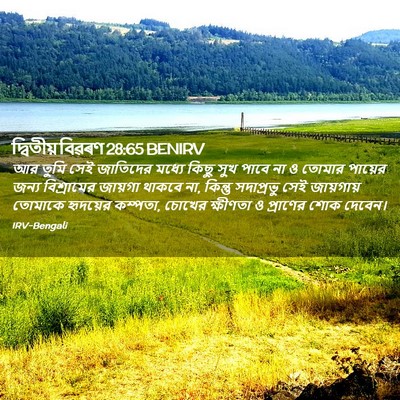 Picture 02 - দ্বিতীয় বিৱৰণ 28:65 BENIRV - আর তুমি সেই - Bible Verse Picture