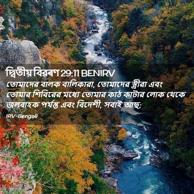Picture 02 - দ্বিতীয় বিৱৰণ 29:11 BENIRV - তোমাদের বালক - Bible Verse Picture