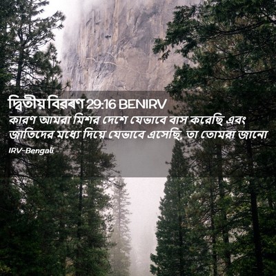 Picture 02 - দ্বিতীয় বিৱৰণ 29:16 BENIRV - কারণ আমরা মিশর - Bible Verse Picture