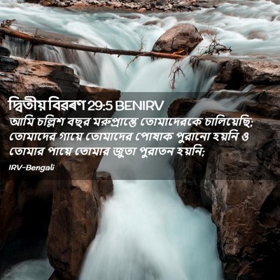 Picture 02 - দ্বিতীয় বিৱৰণ 29:5 BENIRV - আমি চল্লিশ বছর - Bible Verse Picture