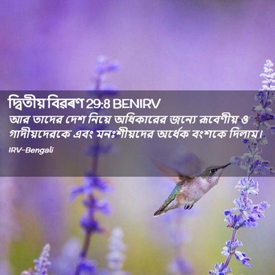 Picture 02 - দ্বিতীয় বিৱৰণ 29:8 BENIRV - আর তাদের দেশ নিয়ে - Bible Verse Picture