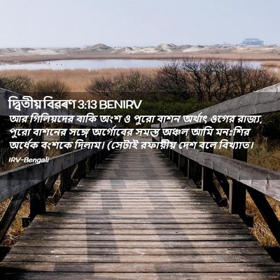 Picture 02 - দ্বিতীয় বিৱৰণ 3:13 BENIRV - আর গিলিয়দের বাকি - Bible Verse Picture