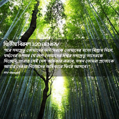 Picture 02 - দ্বিতীয় বিৱৰণ 3:20 BENIRV - পরে সদাপ্রভু - Bible Verse Picture