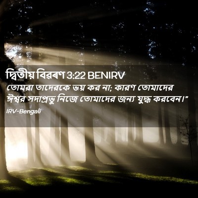 Picture 02 - দ্বিতীয় বিৱৰণ 3:22 BENIRV - তোমরা তাদেরকে ভয় - Bible Verse Picture