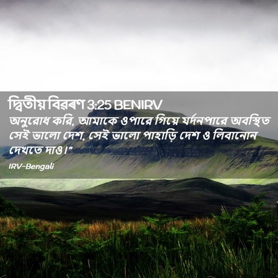 Picture 02 - দ্বিতীয় বিৱৰণ 3:25 BENIRV - অনুরোধ করি, আমাকে - Bible Verse Picture