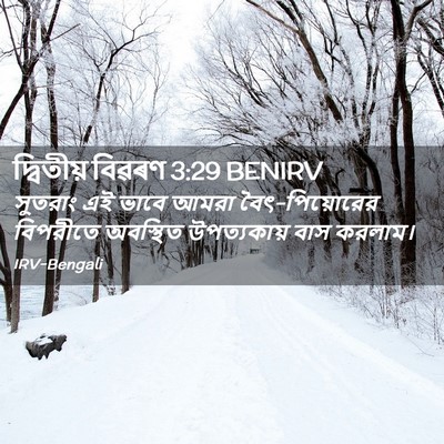 Picture 02 - দ্বিতীয় বিৱৰণ 3:29 BENIRV - সুতরাং এই ভাবে - Bible Verse Picture