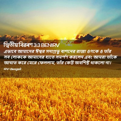 Picture 02 - দ্বিতীয় বিৱৰণ 3:3 BENIRV - এভাবে আমাদের - Bible Verse Picture