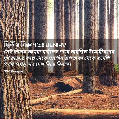 Picture 02 - দ্বিতীয় বিৱৰণ 3:8 BENIRV - সেই দিনের আমরা - Bible Verse Picture