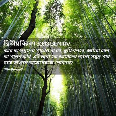Picture 02 - দ্বিতীয় বিৱৰণ 30:13 BENIRV - আর তা সমুদ্রের - Bible Verse Picture