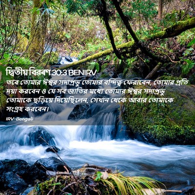 Picture 02 - দ্বিতীয় বিৱৰণ 30:3 BENIRV - তবে তোমার ঈশ্বর - Bible Verse Picture
