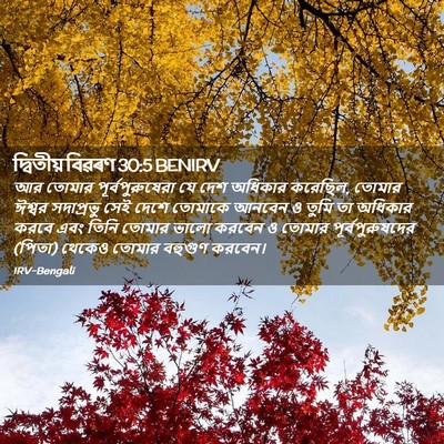 Picture 02 - দ্বিতীয় বিৱৰণ 30:5 BENIRV - আর তোমার - Bible Verse Picture
