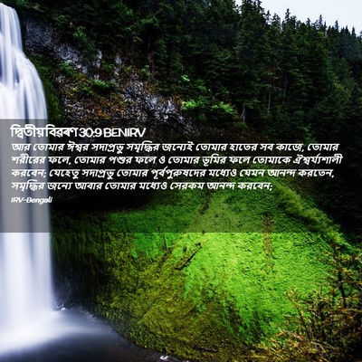 Picture 02 - দ্বিতীয় বিৱৰণ 30:9 BENIRV - আর তোমার ঈশ্বর - Bible Verse Picture