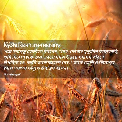 Picture 02 - দ্বিতীয় বিৱৰণ 31:14 BENIRV - পরে সদাপ্রভু - Bible Verse Picture
