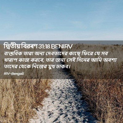 Picture 02 - দ্বিতীয় বিৱৰণ 31:18 BENIRV - বাস্তবিক তারা - Bible Verse Picture