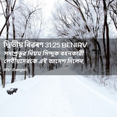 Picture 02 - দ্বিতীয় বিৱৰণ 31:25 BENIRV - সদাপ্রভুর নিয়ম - Bible Verse Picture