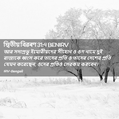 Picture 02 - দ্বিতীয় বিৱৰণ 31:4 BENIRV - আর সদাপ্রভু - Bible Verse Picture