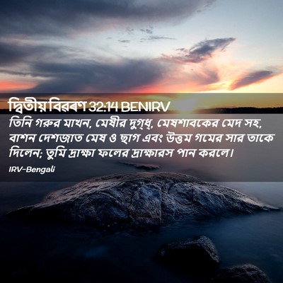 Picture 02 - দ্বিতীয় বিৱৰণ 32:14 BENIRV - তিনি গরুর মাখন, - Bible Verse Picture