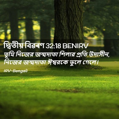 Picture 02 - দ্বিতীয় বিৱৰণ 32:18 BENIRV - তুমি নিজের - Bible Verse Picture