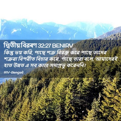 Picture 02 - দ্বিতীয় বিৱৰণ 32:27 BENIRV - কিন্তু ভয় করি, - Bible Verse Picture