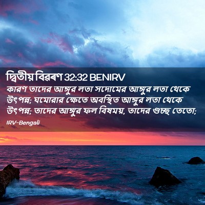 Picture 02 - দ্বিতীয় বিৱৰণ 32:32 BENIRV - কারণ তাদের আঙ্গুর - Bible Verse Picture