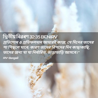 Picture 02 - দ্বিতীয় বিৱৰণ 32:35 BENIRV - প্রতিশোধ ও - Bible Verse Picture