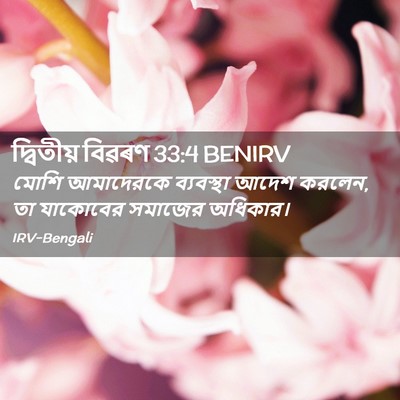 Picture 02 - দ্বিতীয় বিৱৰণ 33:4 BENIRV - মোশি আমাদেরকে - Bible Verse Picture