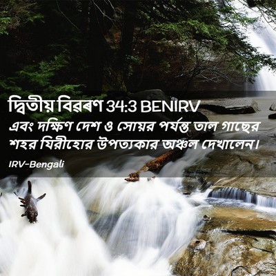 Picture 02 - দ্বিতীয় বিৱৰণ 34:3 BENIRV - এবং দক্ষিণ দেশ ও - Bible Verse Picture