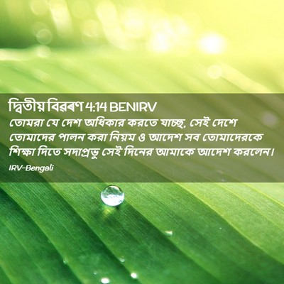 Picture 02 - দ্বিতীয় বিৱৰণ 4:14 BENIRV - তোমরা যে দেশ - Bible Verse Picture