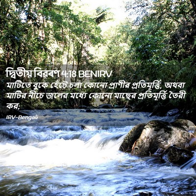 Picture 02 - দ্বিতীয় বিৱৰণ 4:18 BENIRV - মাটিতে বুকে হেঁটে - Bible Verse Picture