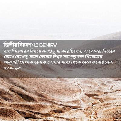 Picture 02 - দ্বিতীয় বিৱৰণ 4:3 BENIRV - বাল পিয়োরের - Bible Verse Picture
