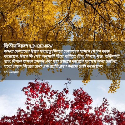 Picture 02 - দ্বিতীয় বিৱৰণ 4:34 BENIRV - অথবা তোমাদের - Bible Verse Picture
