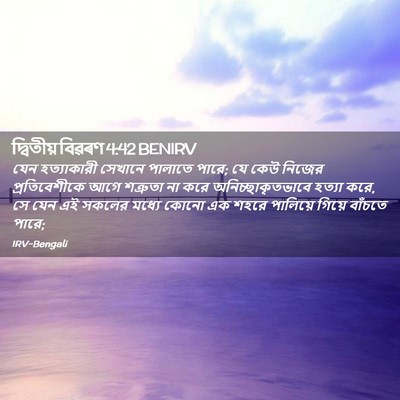 Picture 02 - দ্বিতীয় বিৱৰণ 4:42 BENIRV - যেন হত্যাকারী - Bible Verse Picture