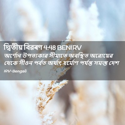 Picture 02 - দ্বিতীয় বিৱৰণ 4:48 BENIRV - অর্ণোন উপত্যকার - Bible Verse Picture