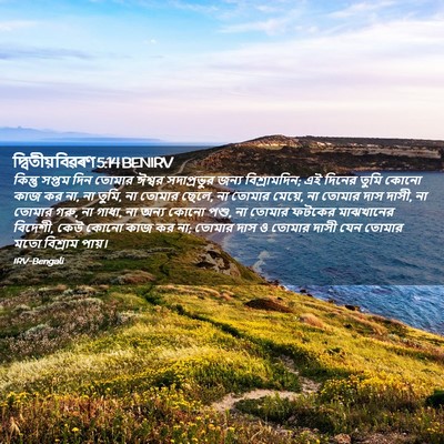 Picture 02 - দ্বিতীয় বিৱৰণ 5:14 BENIRV - কিন্তু সপ্তম দিন - Bible Verse Picture