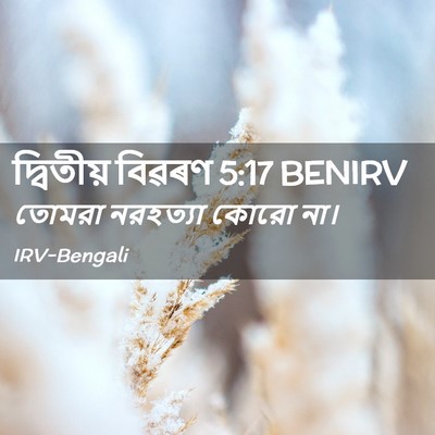Picture 02 - দ্বিতীয় বিৱৰণ 5:17 BENIRV - তোমরা নরহত্যা - Bible Verse Picture