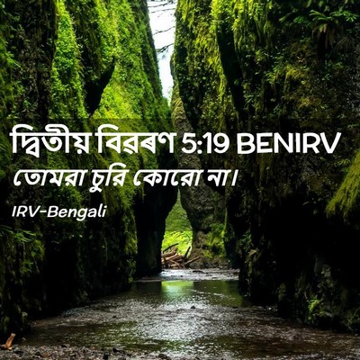 Picture 02 - দ্বিতীয় বিৱৰণ 5:19 BENIRV - তোমরা চুরি কোরো - Bible Verse Picture