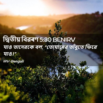 Picture 02 - দ্বিতীয় বিৱৰণ 5:30 BENIRV - যাও তাদেরকে বল, - Bible Verse Picture
