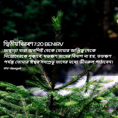 Picture 02 - দ্বিতীয় বিৱৰণ 7:20 BENIRV - তাছাড়া যারা - Bible Verse Picture