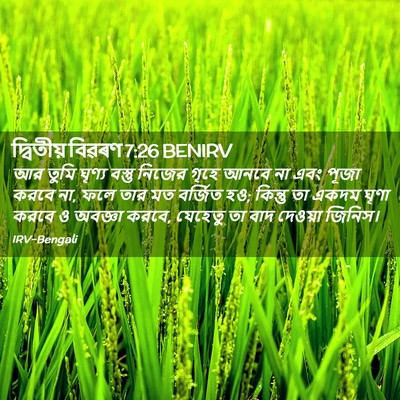 Picture 02 - দ্বিতীয় বিৱৰণ 7:26 BENIRV - আর তুমি ঘৃণ্য - Bible Verse Picture