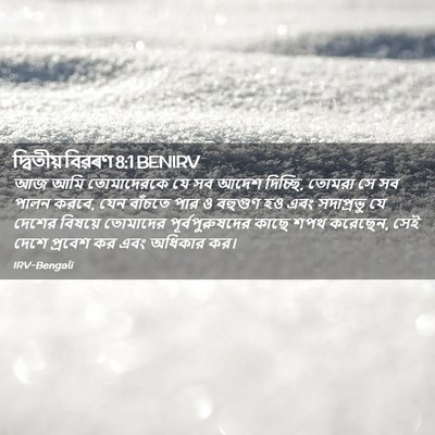 Picture 02 - দ্বিতীয় বিৱৰণ 8:1 BENIRV - আজ আমি তোমাদেরকে - Bible Verse Picture