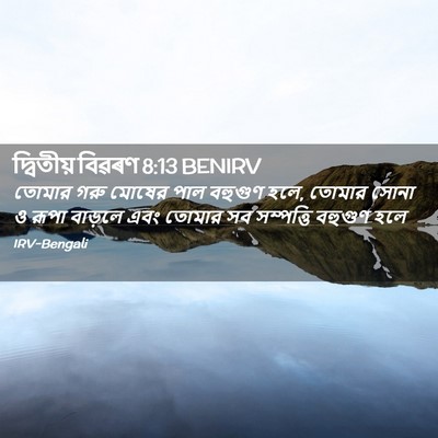 Picture 02 - দ্বিতীয় বিৱৰণ 8:13 BENIRV - তোমার গরু মোষের - Bible Verse Picture